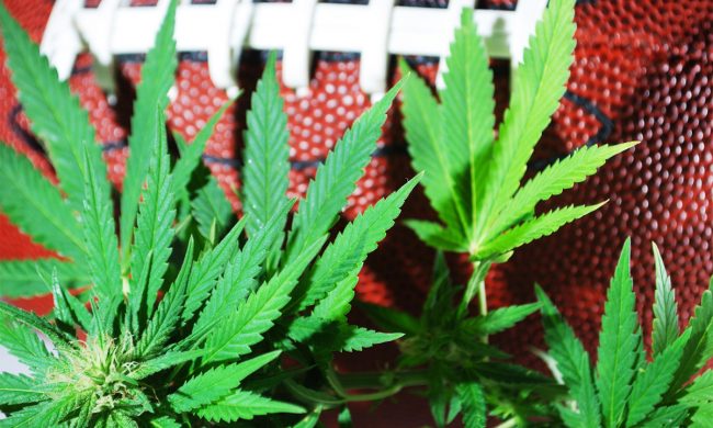 Changement-philosophie-marijuana