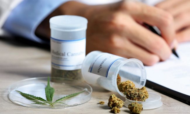 dr-st-pierre Le Cannabis médical selon Dr St-Pierre