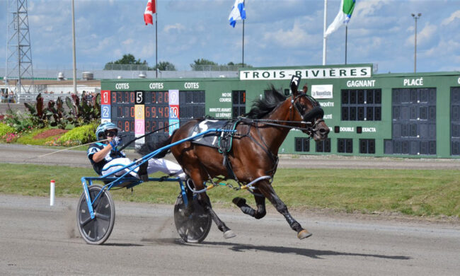 haut-niveau-hippodromes